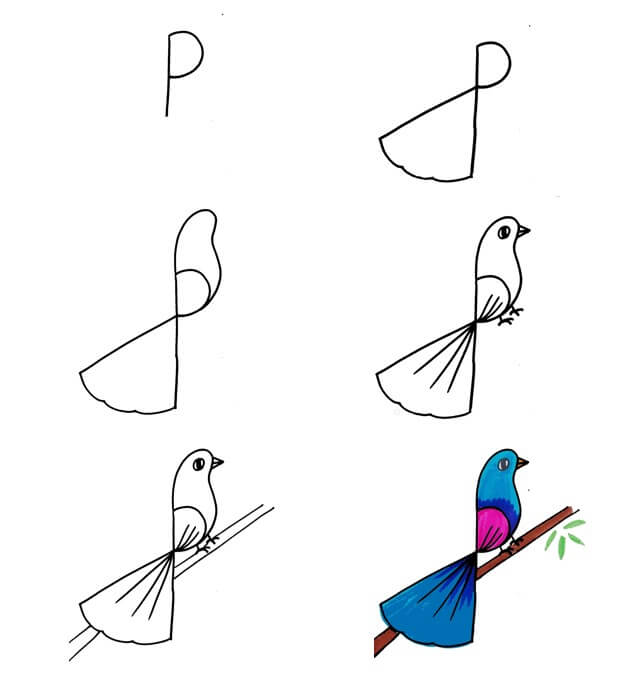 Bird idea (36) Drawing Ideas