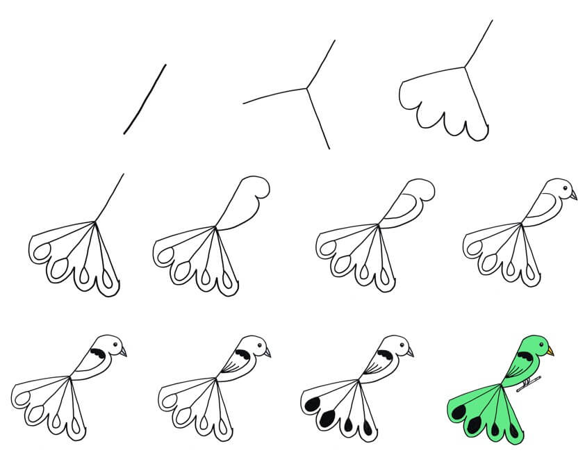 How to draw Bird idea 41