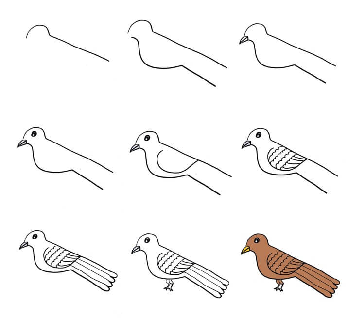 How to draw Bird idea 42