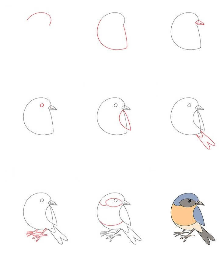 How to draw Bird idea (6)