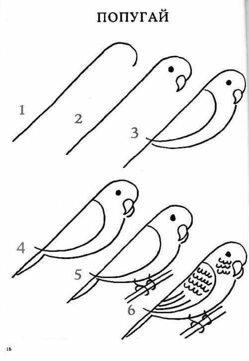 Bird Idea 7 Drawing Ideas