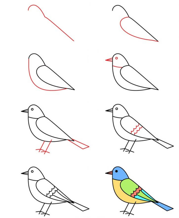 Bird idea (7) Drawing Ideas
