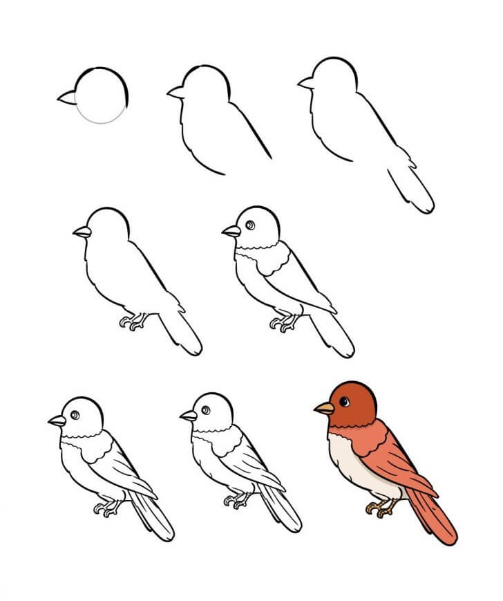 How to draw Bird idea (8)
