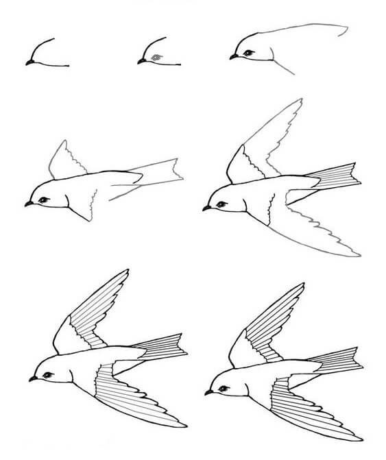 How to draw Bird nest (1)