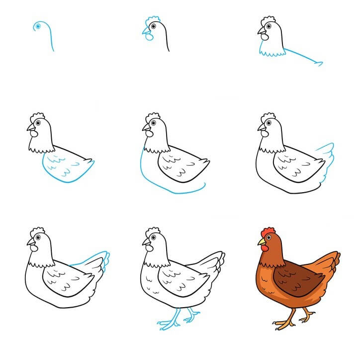 Chicken Drawing Ideas