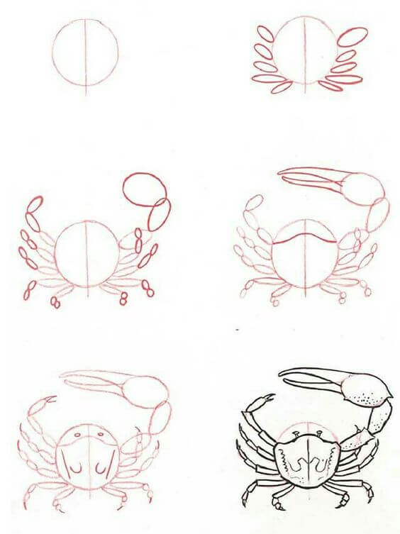 Crab idea (25) Drawing Ideas