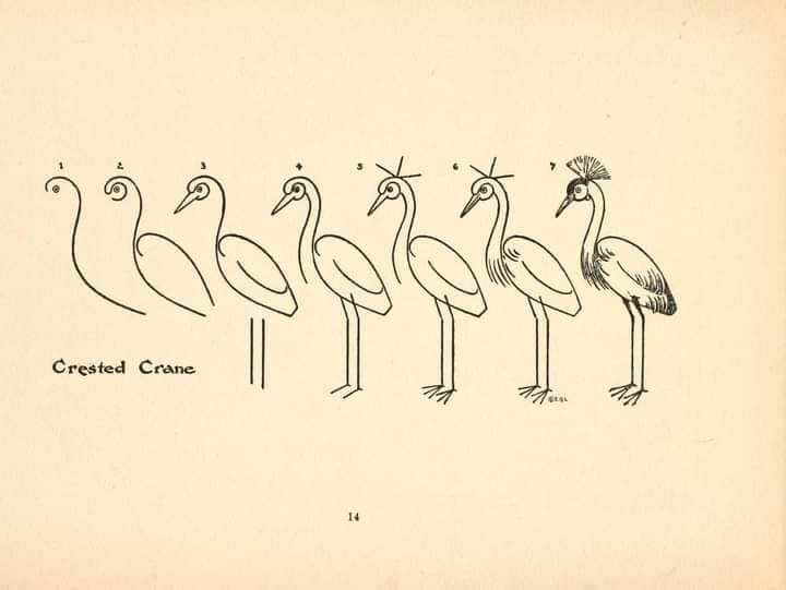 Crested Crane Drawing Ideas