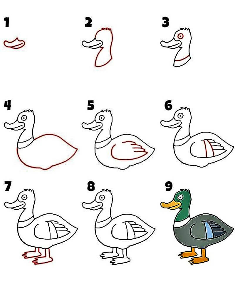 How to draw Duck Idea 10