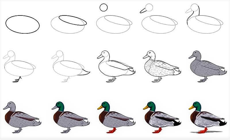 How to draw Duck Idea 7