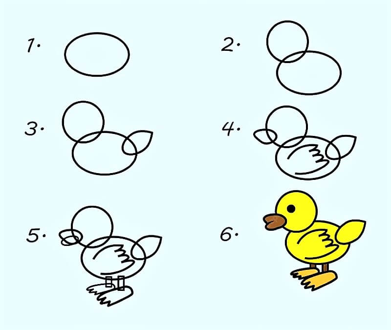 Duck Drawing Ideas