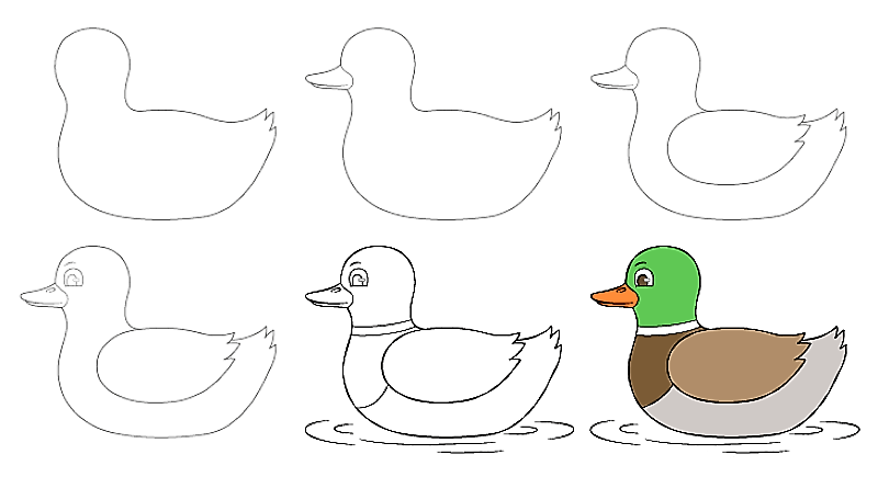 How to draw Duck Idea 9