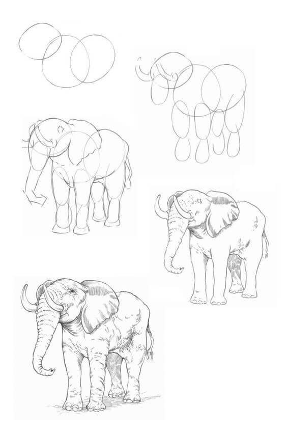 Elephant idea (15) Drawing Ideas