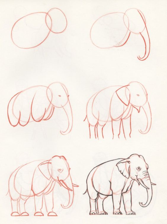 Elephant idea (16) Drawing Ideas