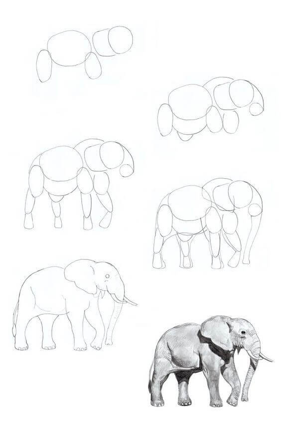 Elephant idea (19) Drawing Ideas