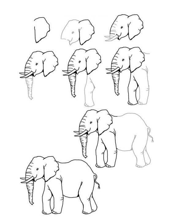 Elephant idea (35) Drawing Ideas
