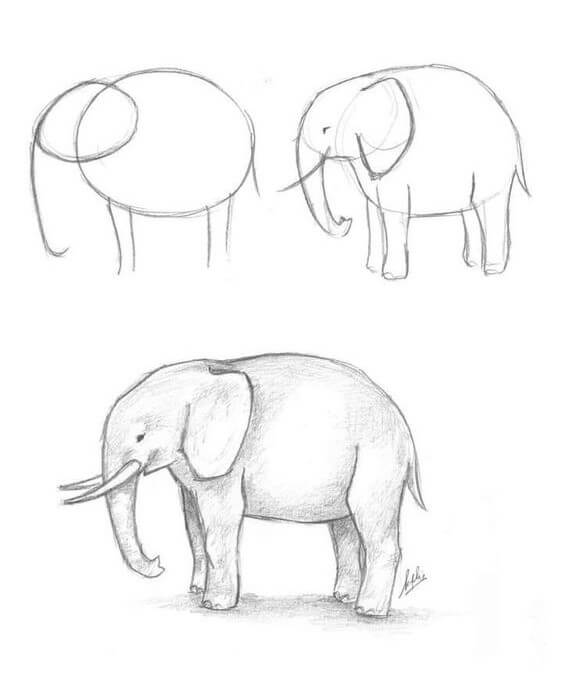 Elephant idea (40) Drawing Ideas
