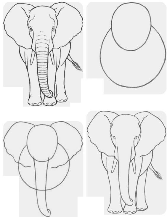 Elephant idea (6) Drawing Ideas