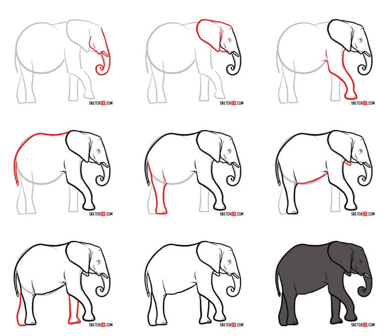 Elephant idea (64) Drawing Ideas