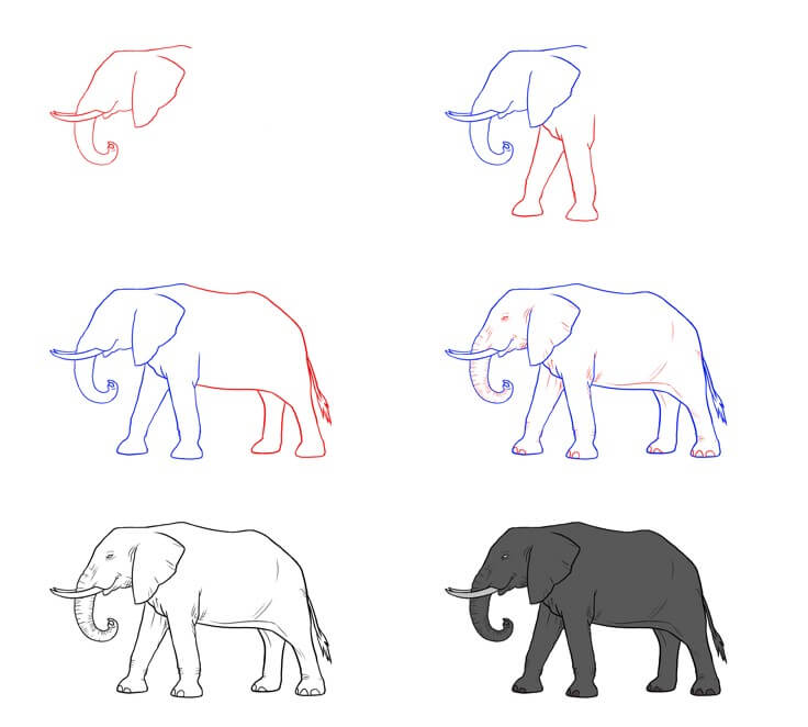 Elephant idea (70) Drawing Ideas