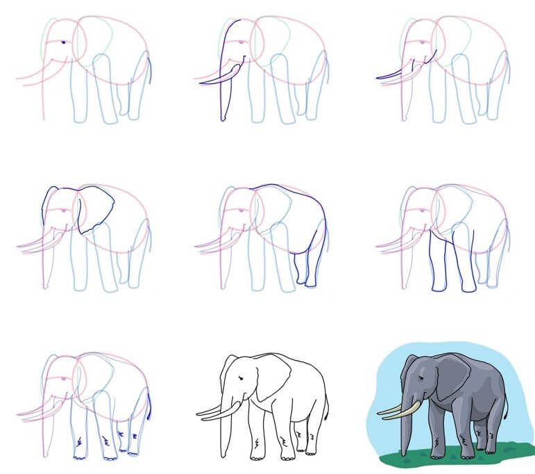 Elephant idea (77) Drawing Ideas