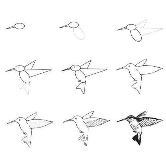 How to draw Hummingbird (1)