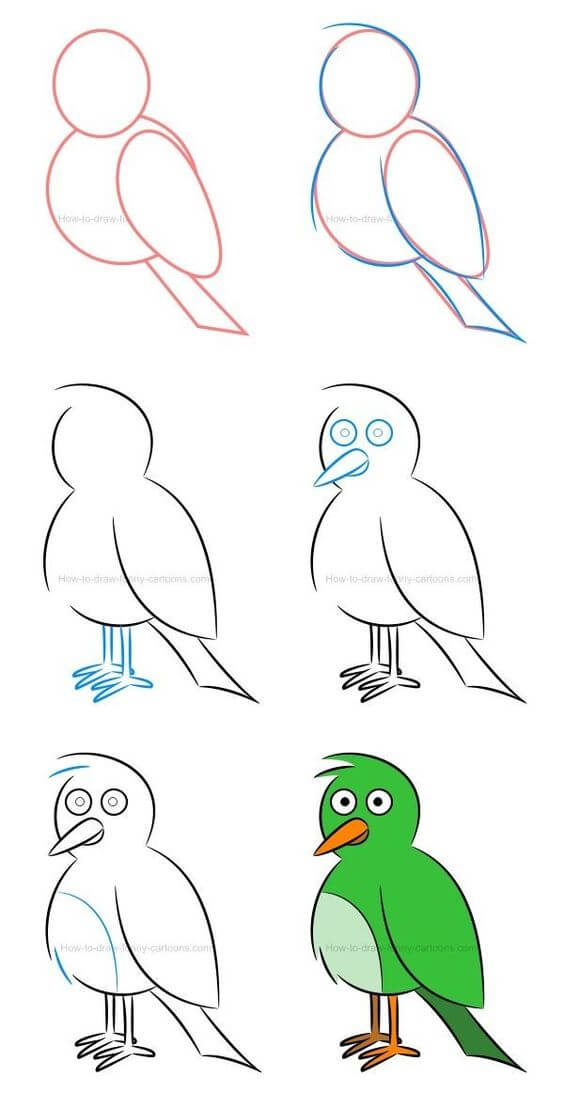 How to draw Macaw (1)