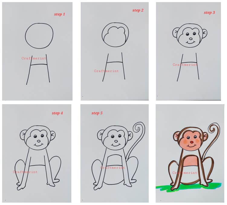 How to draw Monkey idea 9