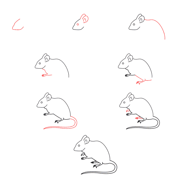 Mouse Drawing Ideas