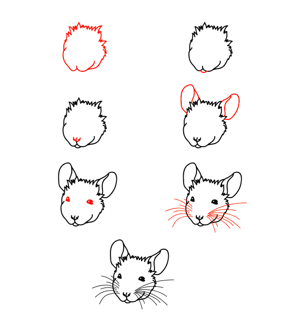 Mouse face Drawing Ideas