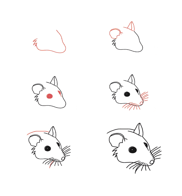 Mouse head Drawing Ideas
