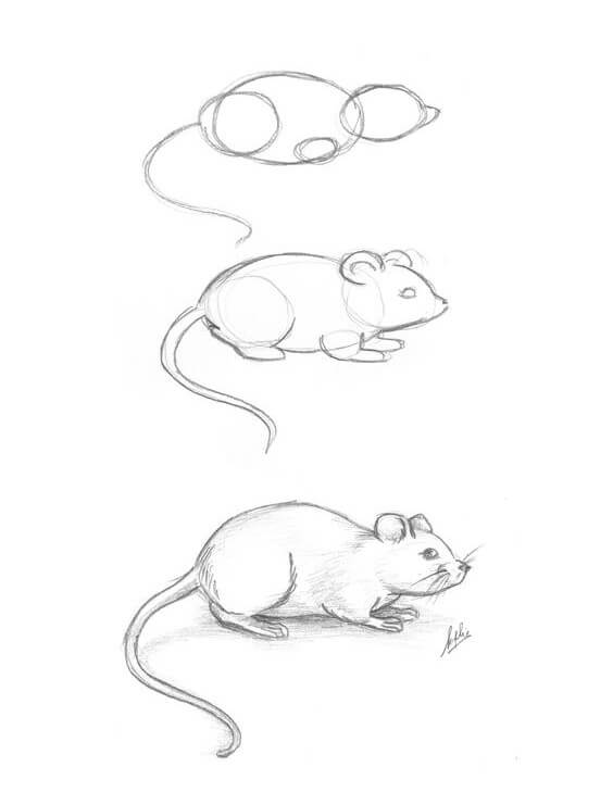 Mouse idea (20) Drawing Ideas