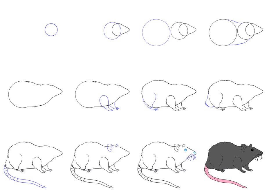 Mouse idea (41) Drawing Ideas