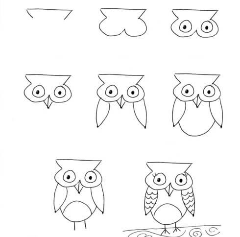 How to draw Owl