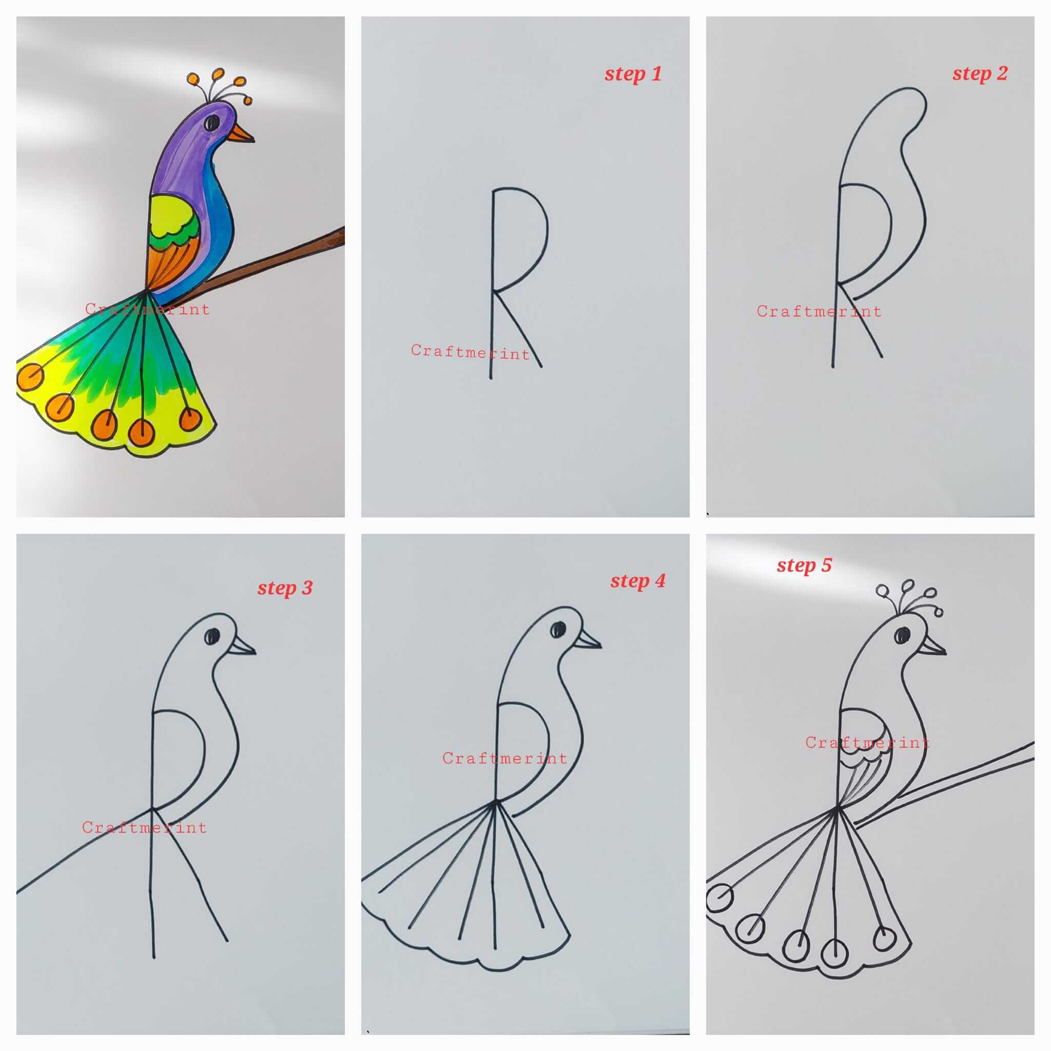 How to draw Peacock idea 33