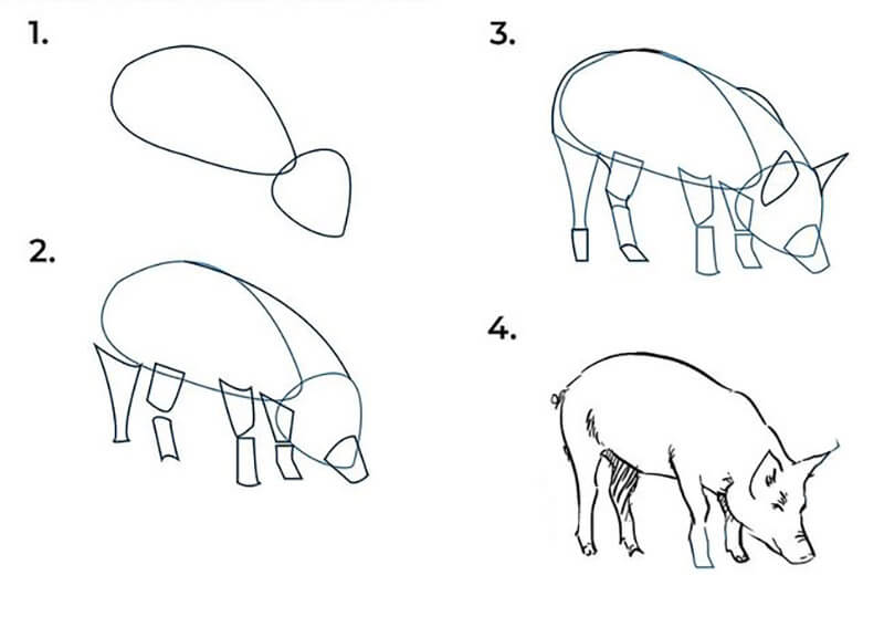 Pig Idea 13 Drawing Ideas