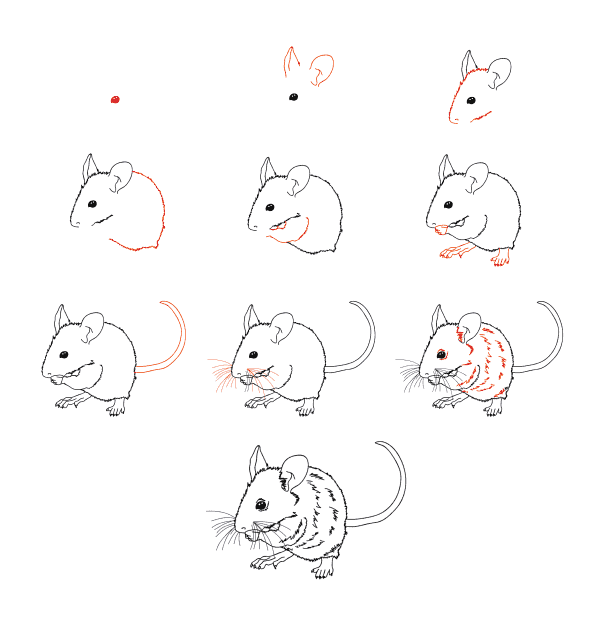 Realistic Mouse Drawing Ideas