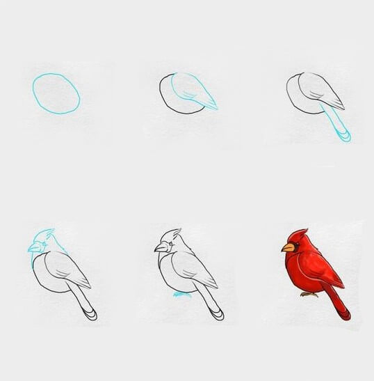 Red bird Drawing Ideas