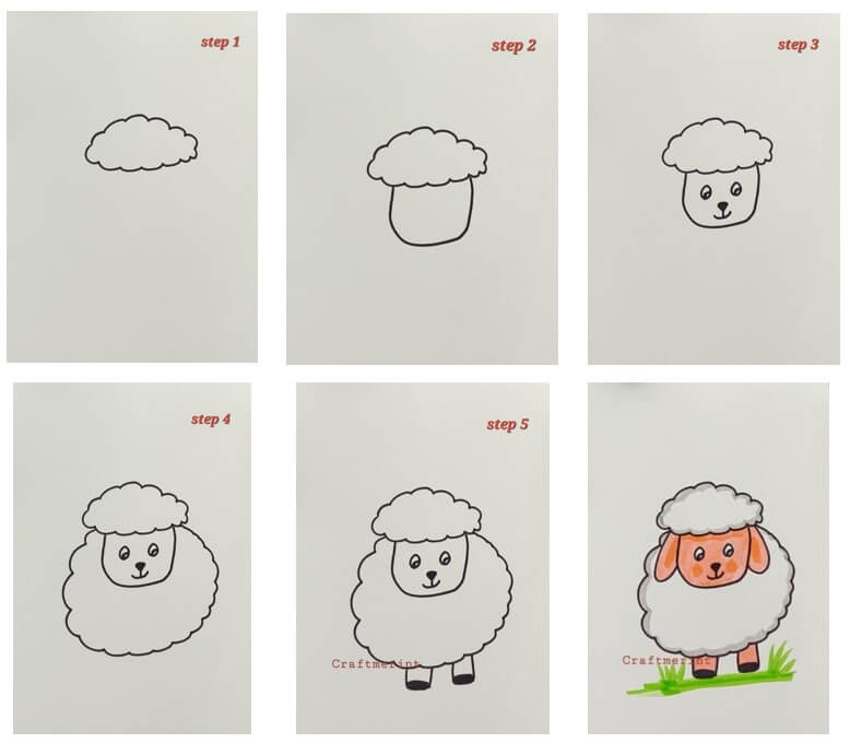 How to draw Sheep idea 13