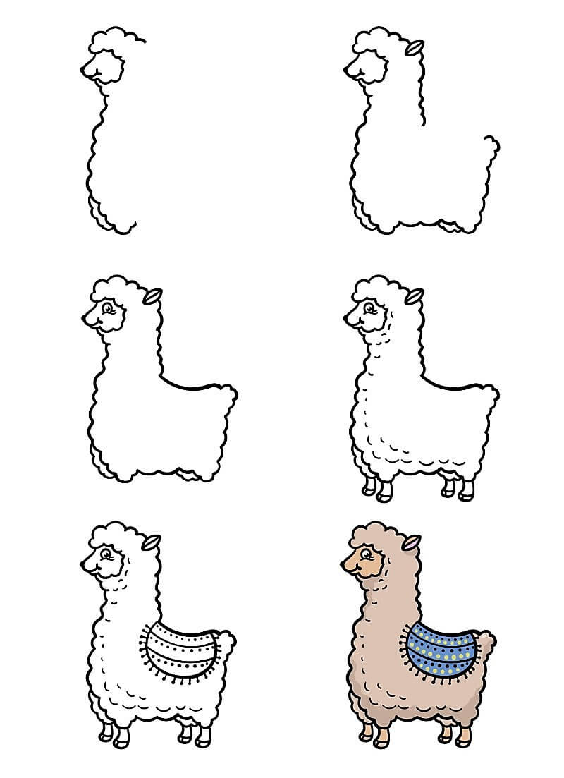 A Cartoon Llama Drawing Ideas
