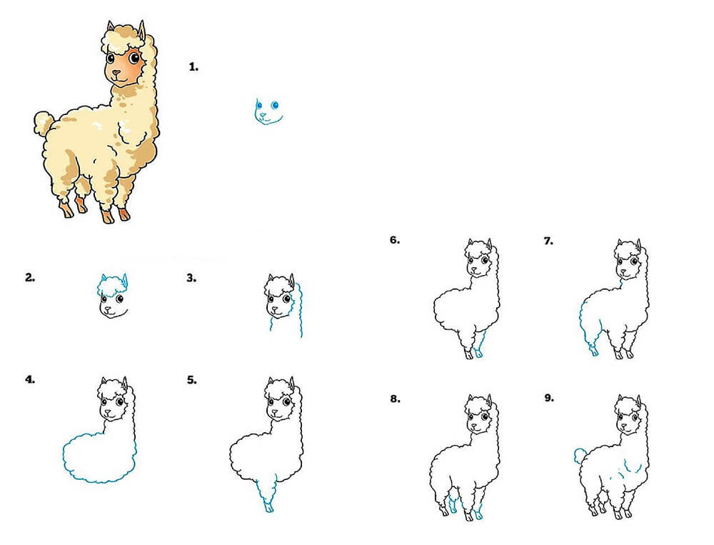 A Cute Llama Drawing Ideas