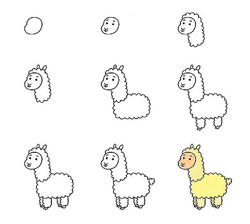 A Llama Full Body Drawing Ideas