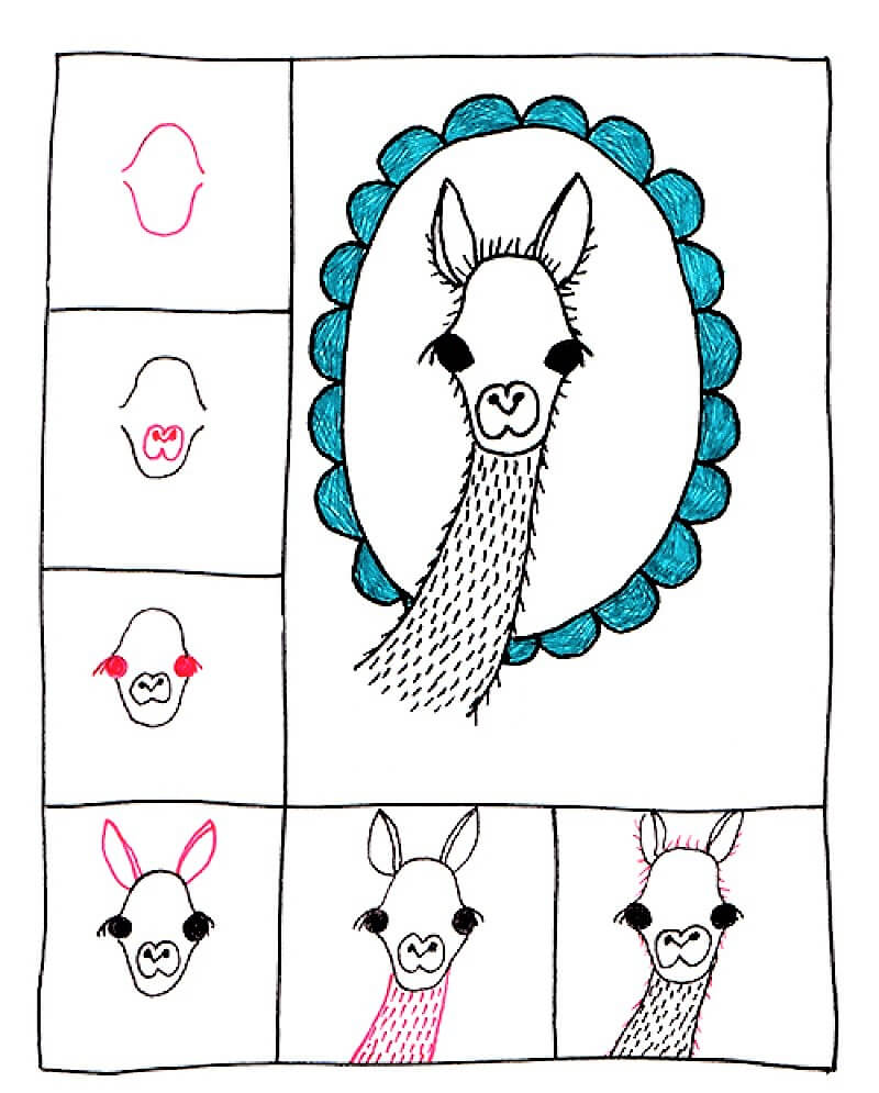 Llama Drawing Ideas