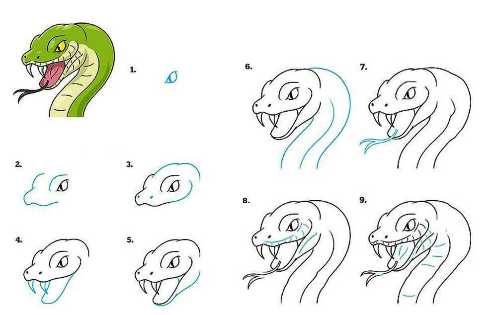 How to draw A Snake Head