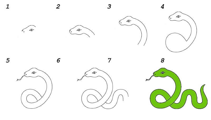 How to draw A Snake Idea 16