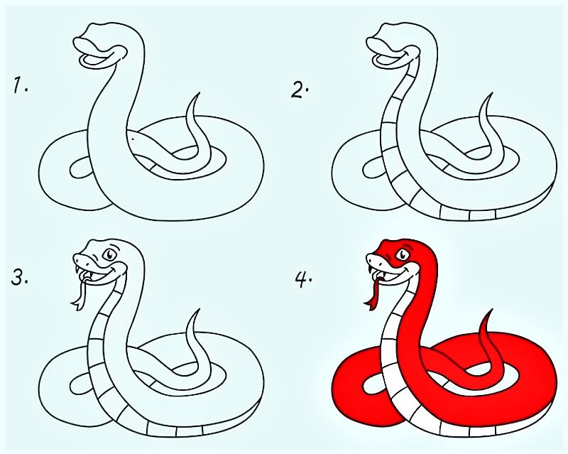 How to draw A Snake Idea 19