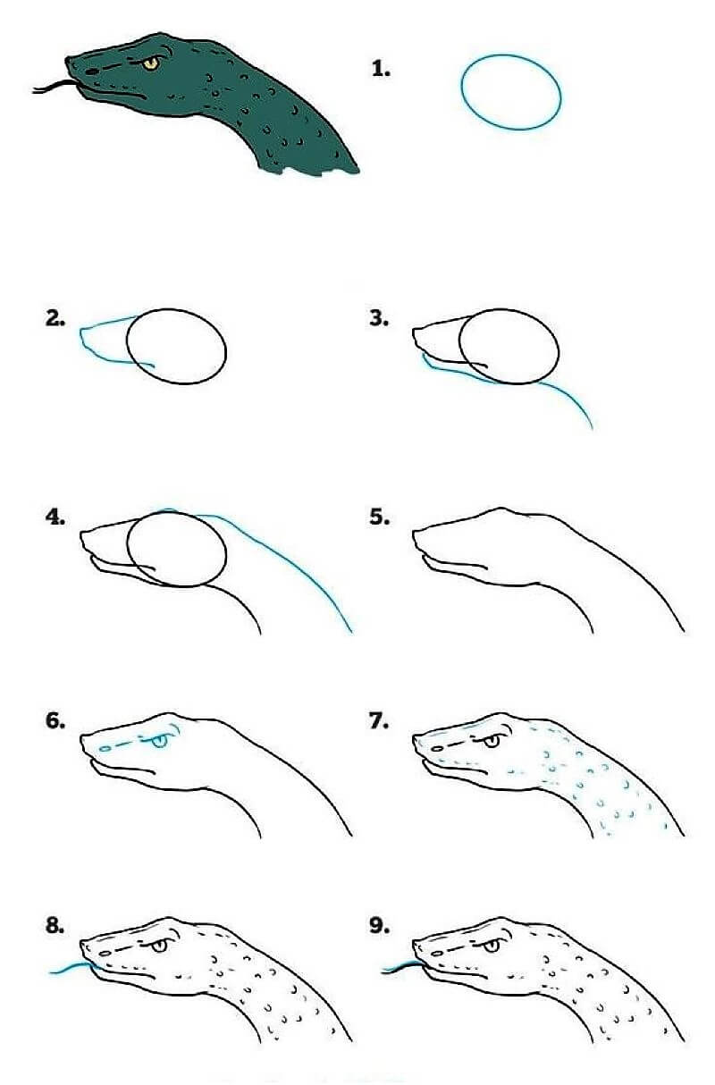 How to draw A Snake Idea 8