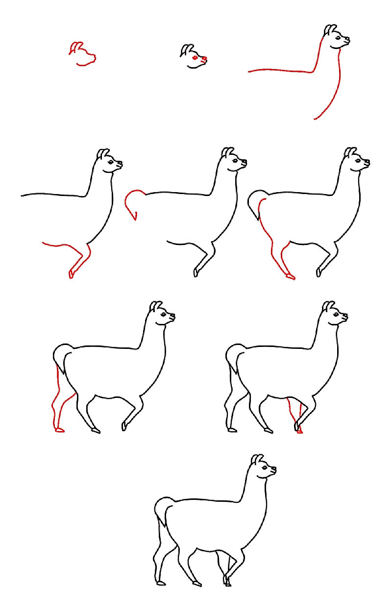 An Easy Llama Drawing Ideas
