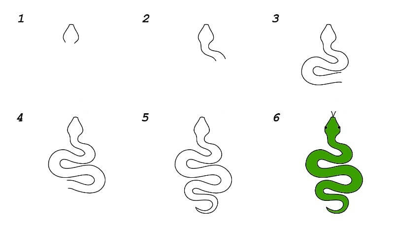 An Easy Snake Drawing Ideas