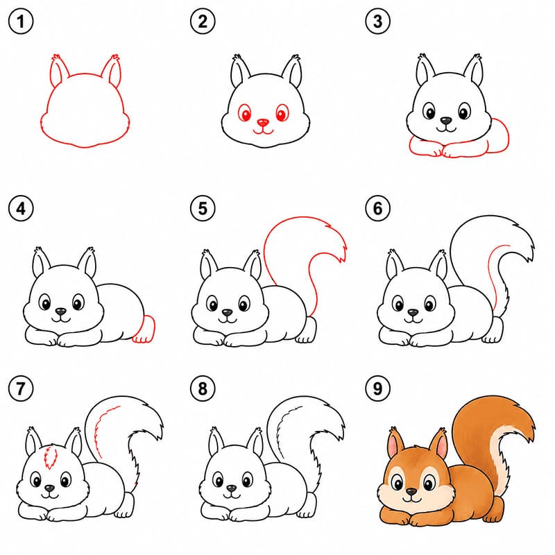 Squirrel lying Drawing Ideas
