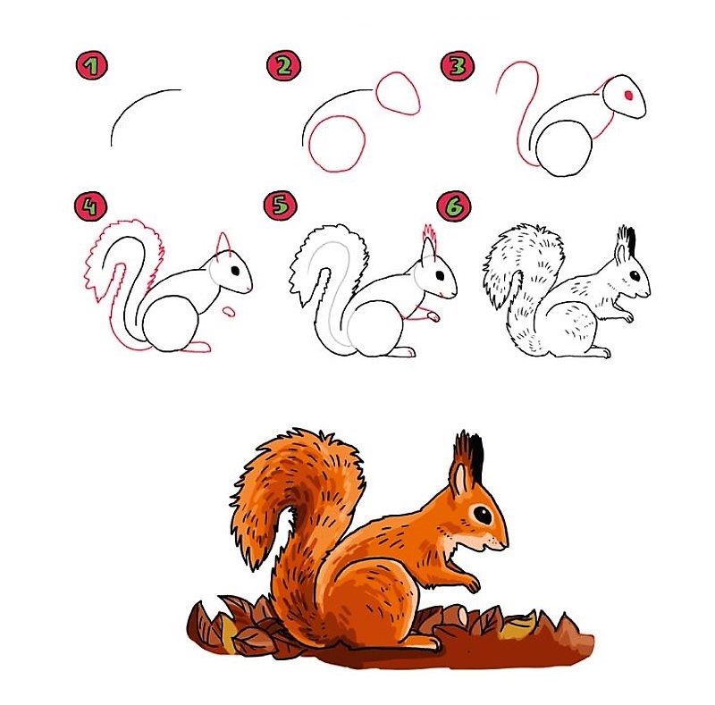 A cartoon squirrel Drawing Ideas